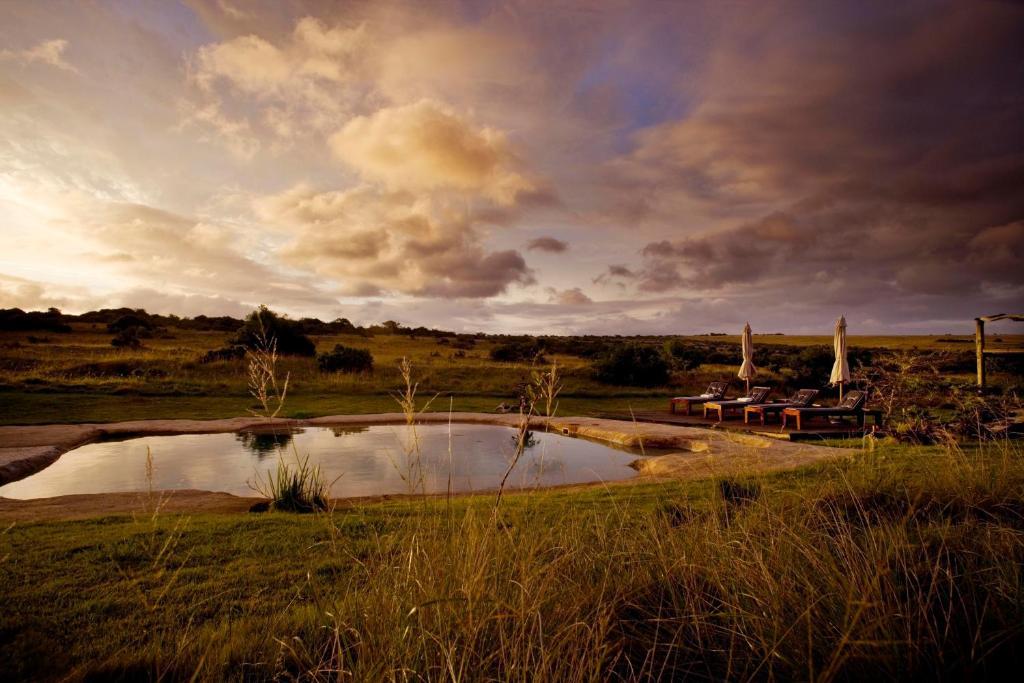 Lodge Hlosi Game - Amakhala Game Reserve *